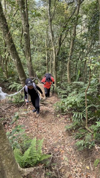 20250404銀河洞越嶺登山步道2752981