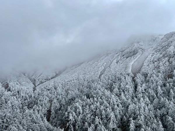 絕美銀白世界 玉山降下今年冬天「初雪」1235982