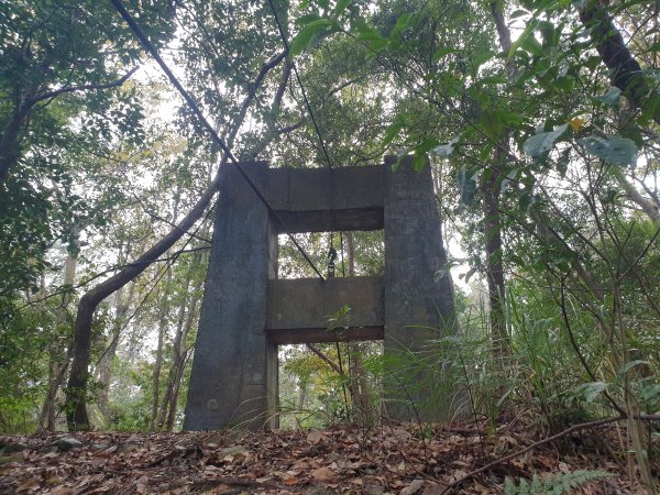 麗陽上屋我尾山2683103