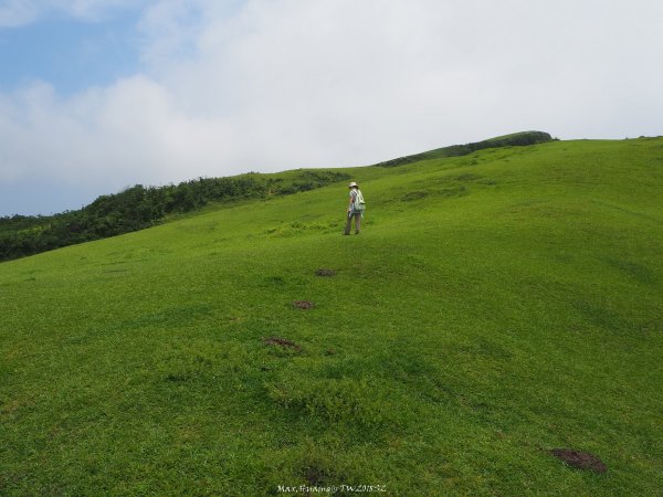 《新北》草原牛群｜貢寮桃源谷步道(內寮線)201805172887817