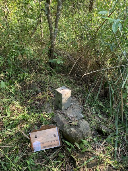 20251122高雄笠山-坦水衍山2945360