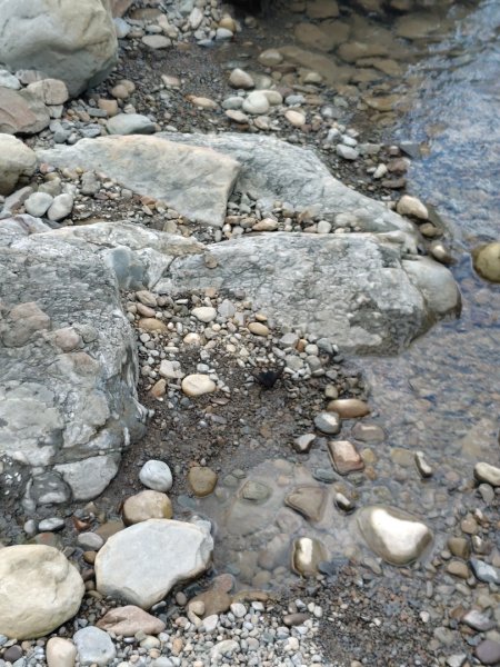 達娜伊谷-里美避難步道-巨石板步道-約富霓2788567