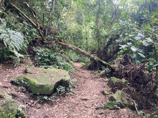 五指山登山步道2293207