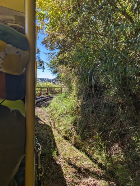 太平山國家森林遊樂區-蹦蹦車3137088