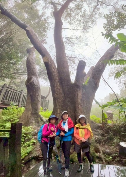 獅山 六寮古道 獅頭獅尾走一圈2992459