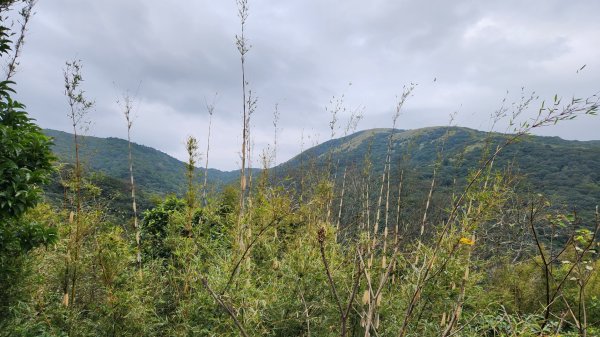 皇帝殿，獅公髻尾山，指南宮千階步道（竹柏參道），十六分山，貓空尖，絹絲瀑布步道2394551