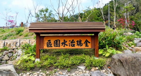 《臨江仙・碧山巖櫻花》2714208