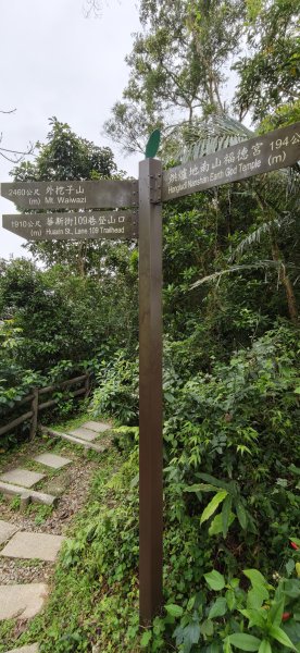 2026-0307 造鎮-文筆山-天華山-南勢角山-蘭花亭-牛伯伯3015889