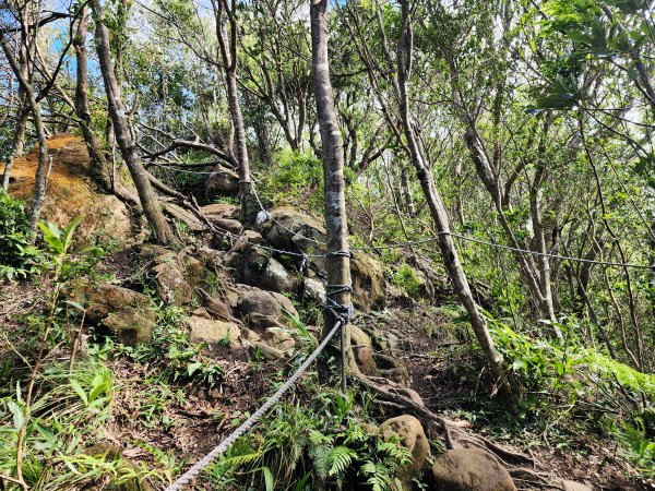 小百岳No.17⛰二格山2895571