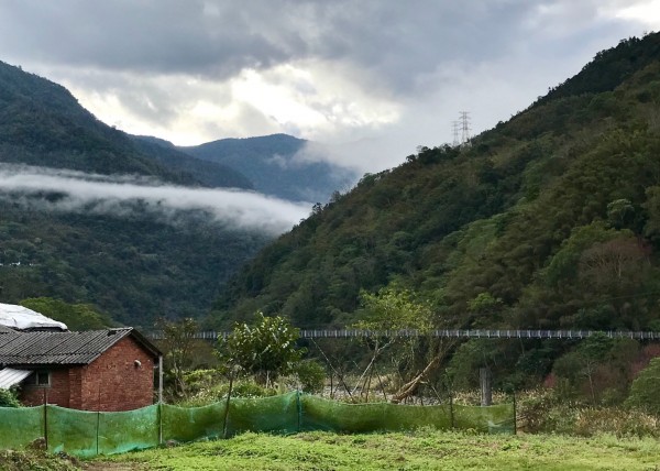 南庄向天湖環山步道256096