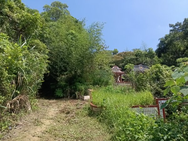 內湖區大丘田保甲路+開眼山+白石湖山+白石湖山東峰+大邱田山+消防山O型2858898