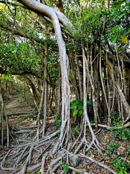 大山母山-小百岳#81-屏東縣恆春鎮2731524