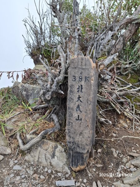 2025.01.24~26 北大武山 三天兩夜〈雲海、夕陽、檜木、鐵杉、藍天...〉2700333