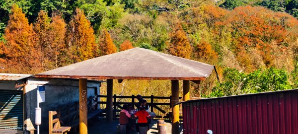 #花卉試驗中心 #永公路500巷 #平菁街42巷 #原住民公園 #士林官邸 1/42976531