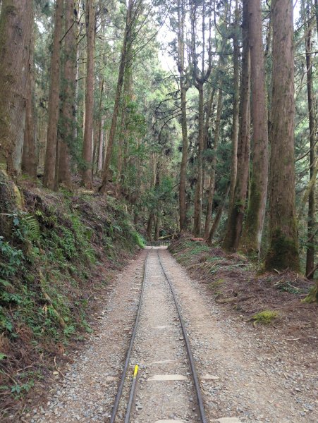 2026.02.14－特富野古道3013725