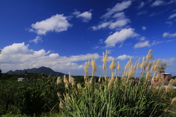 貴子坑親山步道1236959