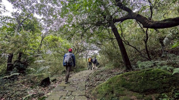 114.11.01旅聯網21週年活動之七星山-七星山東峰-七星公園-夢幻湖2928895