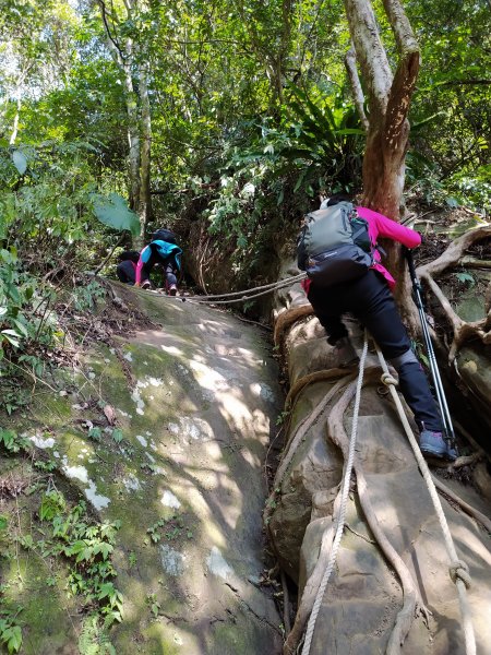 關西 石牛山  充滿樂趣的登山步道1278361