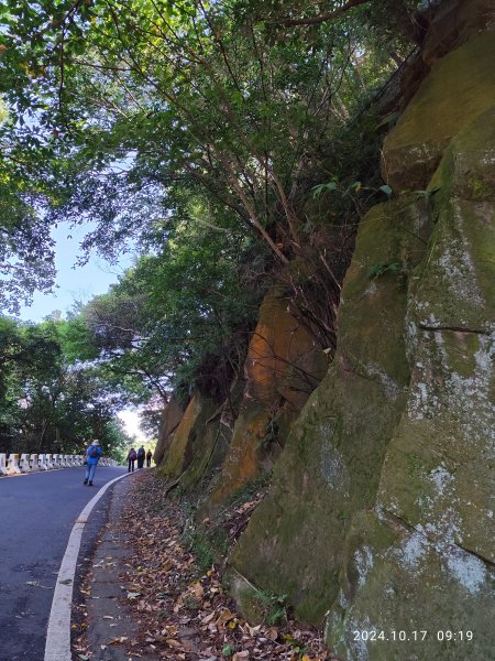 天母→猴洞→湖山→半嶺→第二展望臺→陽峰古道→花田花草集【發現陽明山】2-12629096