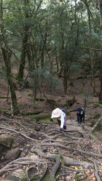 加里山 2025 12/282971697