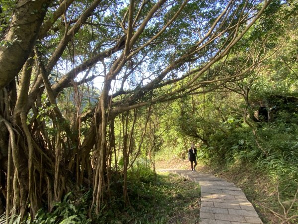 【淘金越野 20K 練跑體驗】瑞猴自行車道×大粗坑步道×金字碑古道｜陪跑練習日記2900370