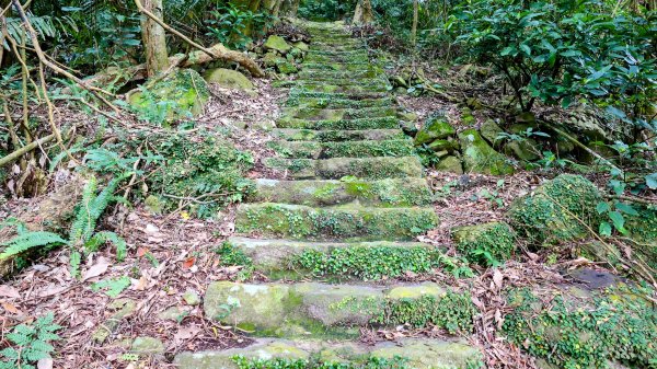 《西江月。竹子湖春》2721795