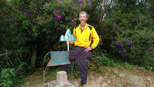 苗栗雲洞山莊追雲槓龜，順登小百岳關刀山1891880