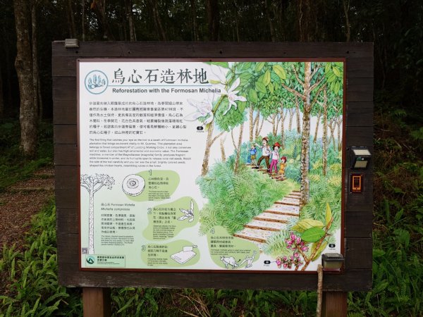 拳頭姆自然步道3007196