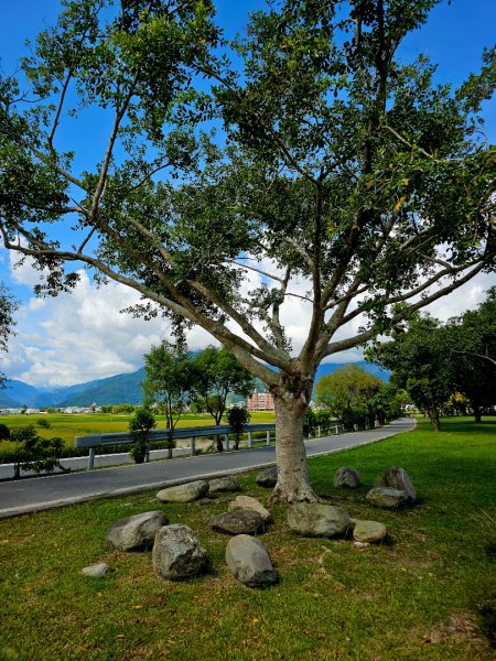 大坡池環潭步道-2025漫遊縱谷愛在花東-台東縣池上鄉2916626