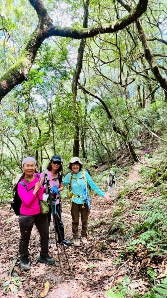 🌈8/16（六）遠的要命的王國~鎮西堡B區神木巡禮✨FB：熊熊趴爬走🌈2861626