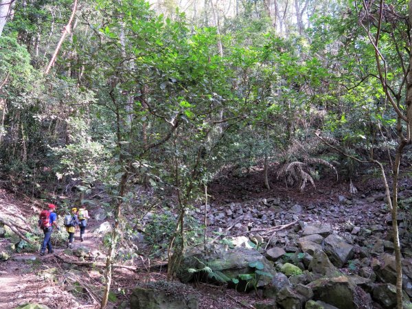 虎山 健行 溫泉 美食一日行1638230