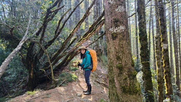 中央尖山四天20260412~153037966