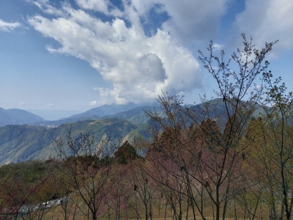 1090208清境農場&高空觀景步道830462