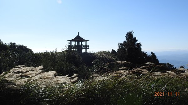 秋高氣爽芒花季再度陽明山天際線-七星山主東峰+大屯山主南西峰向天面天山O型+小觀音山主西南峰共10峰1511064