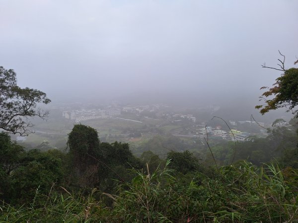 劍潭古道202503122734303