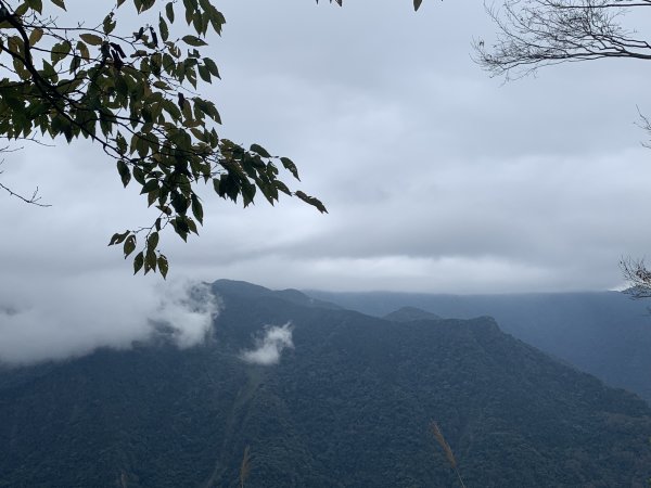 【中級山】明知山沒虎，偏向虎山行2441960