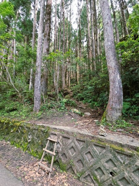 三星山-小百岳#85-宜蘭縣大同鄉2827520