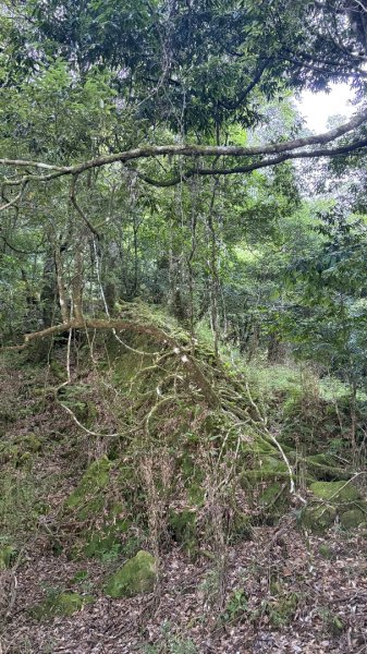 加里山東南峰2867935