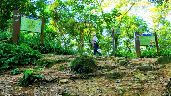 桃園石門山2916123