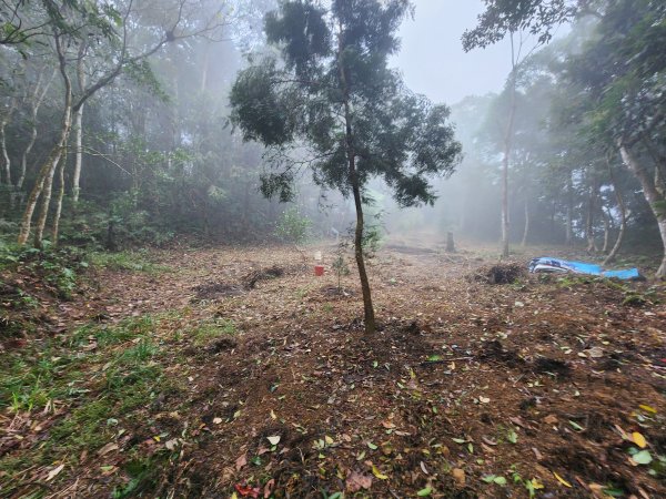 20260208五分寮頂山內大坪山石硬山O型3005246