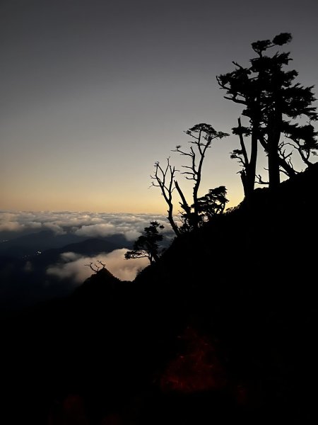 北大武稜線雲海景觀3010141