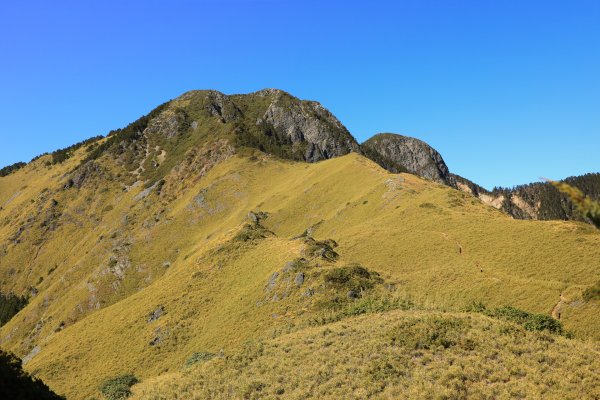 大小劍-油婆蘭全紀錄2674240