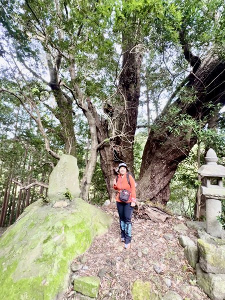 熊野古道中邊路D1 紀伊田邊、潮見峠O繞 2025.3.162744441