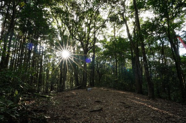 新竹 尖石 高台山、島田山2327037