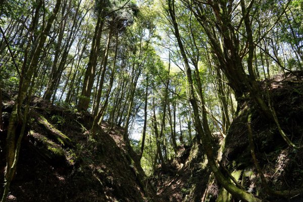 台中 和平 馬崙山2796968