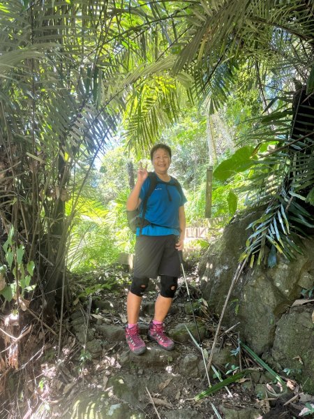 阿里山達娜伊谷、里美避難步道、巨石板步道2909915