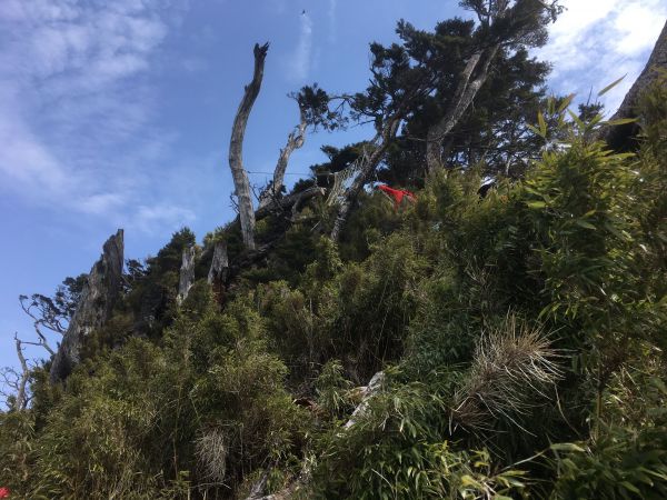 夢幻之美的聖山北大武山107131