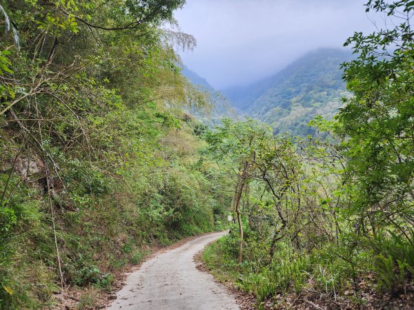 20240317八五山李棟山鳥嘴下山O型2486264