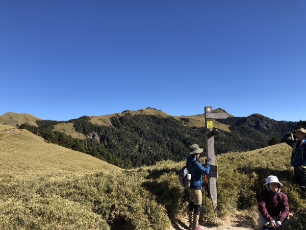 2019_1215_奇萊南峰_南華山2015828