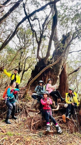 🌈12/18（三）魔法森林-塔曼山~網美打卡-巴陵鐵塔🌈2671880